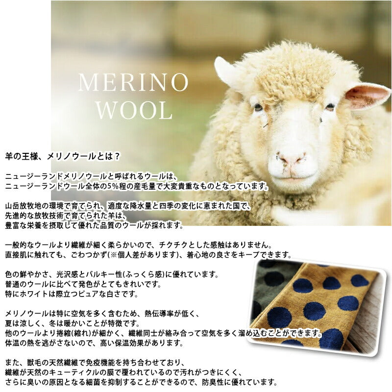 Put on socks(プットオンソックス)"Hopscotch"ホップスコッチ メリノウール ドットソックス(6 COLOR)【ニュージーランドメリノ 防縮 暖か 温活 冷えとり】【日本製】