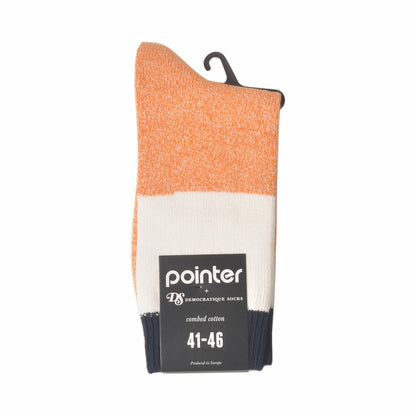 DEMOCRATIQUE SOCKS x POINTER FOOTWEAR(デモクラティックソックスxポインターフットウェア)クルーソックス靴下 "RELAX BLOCK" from Denmark Copenhagen【ユニセックス/メンズ】【コラボ ショートソックス】