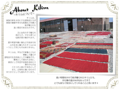 KILIM(キリム)【送料無料】【買い付け☆全て1点もの！】オールド＆アンティーク キリムクッションカバー(5色)【ナバホ柄/ネイティブ柄/ウール/毛綿】【1口1枚までネコポス便Ｏｋ！】